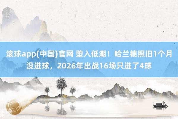滚球app(中国)官网 堕入低潮！哈兰德照旧1个月没进球，2026年出战16场只进了4球