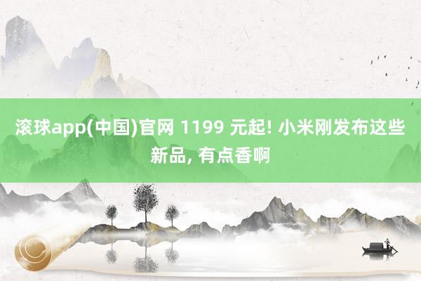 滚球app(中国)官网 1199 元起! 小米刚发布这些新品， 有点香啊