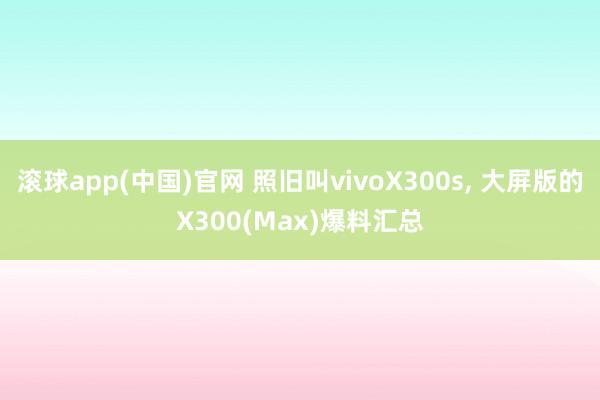 滚球app(中国)官网 照旧叫vivoX300s， 大屏版的X300(Max)爆料汇总