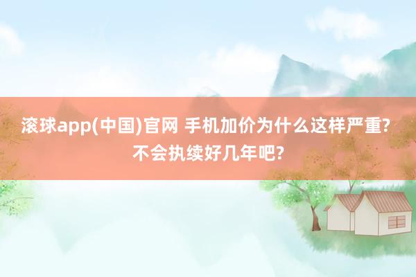 滚球app(中国)官网 手机加价为什么这样严重? 不会执续好几年吧?