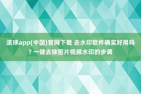 滚球app(中国)官网下载 去水印软件确实好用吗? 一键去除图片视频水印的步调