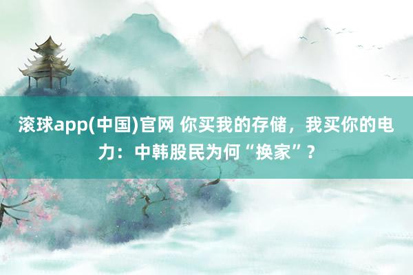 滚球app(中国)官网 你买我的存储，我买你的电力：中韩股民为何“换家”？