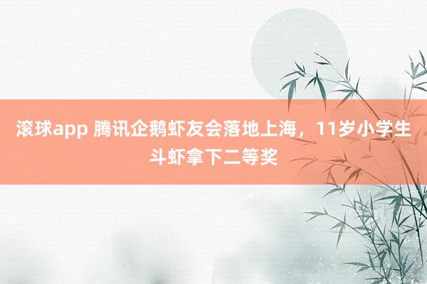 滚球app 腾讯企鹅虾友会落地上海，11岁小学生斗虾拿下二等奖