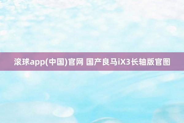 滚球app(中国)官网 国产良马iX3长轴版官图