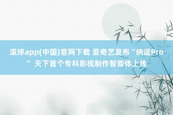 滚球app(中国)官网下载 爱奇艺发布“纳逗Pro” 天下首个专科影视制作智能体上线