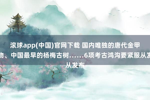 滚球app(中国)官网下载 国内唯独的唐代金甲什物、中国最早的杨梅古树……6项考古鸿沟要紧服从发布