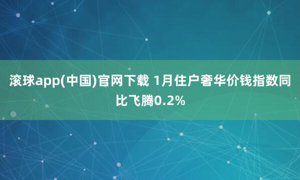 滚球app(中国)官网下载 1月住户奢华价钱指数同比飞腾0.2%