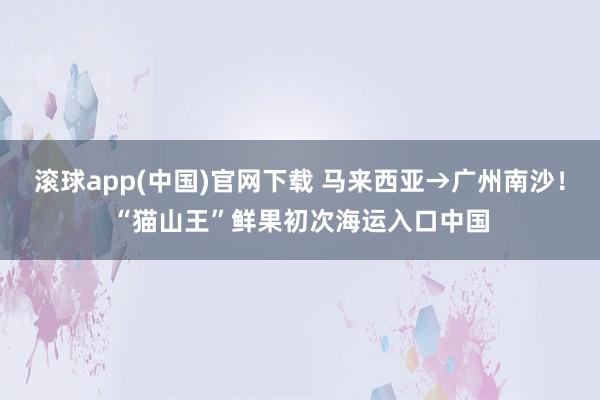 滚球app(中国)官网下载 马来西亚→广州南沙！“猫山王”鲜果初次海运入口中国
