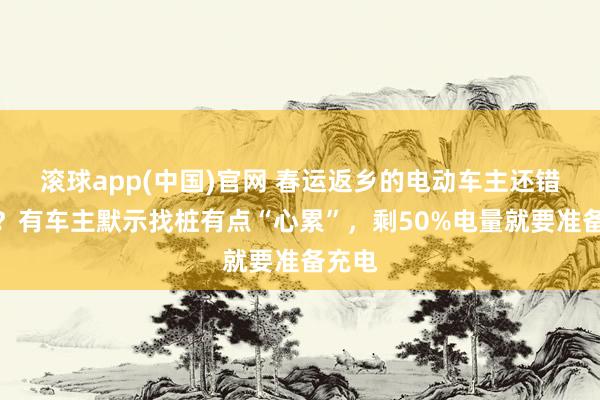 滚球app(中国)官网 春运返乡的电动车主还错愕吗？有车主默示找桩有点“心累”，剩50%电量就要准备充电