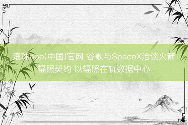 滚球app(中国)官网 谷歌与SpaceX洽谈火箭辐照契约 以辐照在轨数据中心