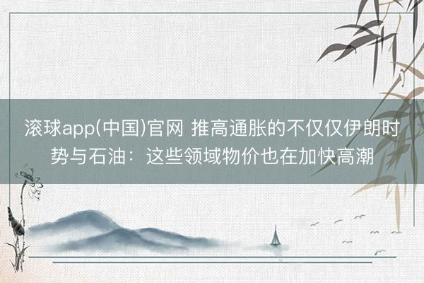 滚球app(中国)官网 推高通胀的不仅仅伊朗时势与石油：这些领域物价也在加快高潮