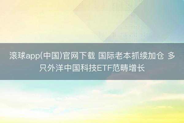 滚球app(中国)官网下载 国际老本抓续加仓 多只外洋中国科技ETF范畴增长