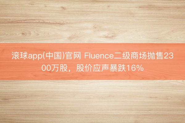 滚球app(中国)官网 Fluence二级商场抛售2300万股,股价应声暴跌16%