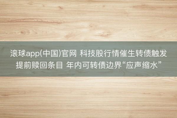 滚球app(中国)官网 科技股行情催生转债触发提前赎回条目 年内可转债边界“应声缩水”