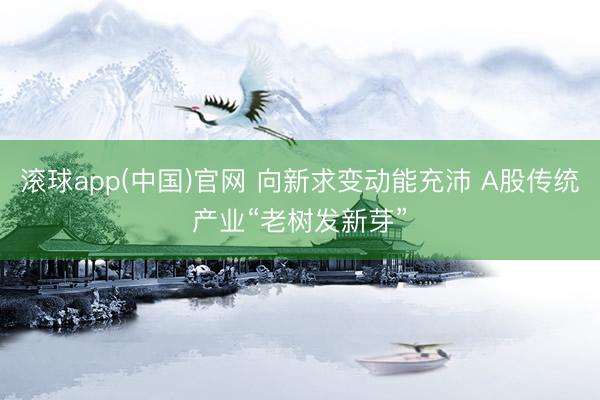 滚球app(中国)官网 向新求变动能充沛 A股传统产业“老树发新芽”
