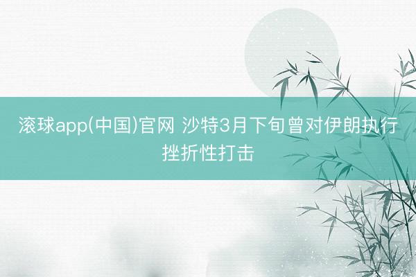 滚球app(中国)官网 沙特3月下旬曾对伊朗执行挫折性打击