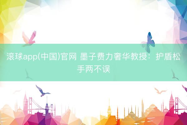滚球app(中国)官网 墨子费力奢华教授：护盾松手两不误