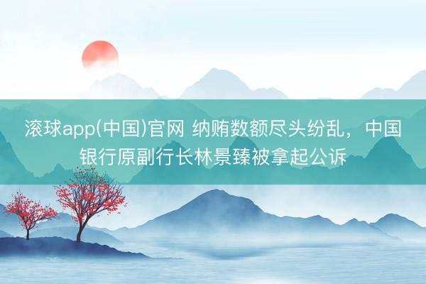 滚球app(中国)官网 纳贿数额尽头纷乱，中国银行原副行长林景臻被拿起公诉