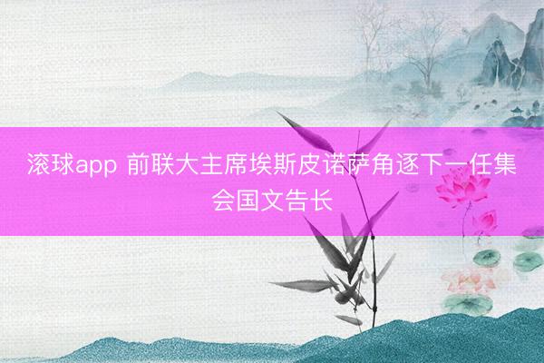 滚球app 前联大主席埃斯皮诺萨角逐下一任集会国文告长