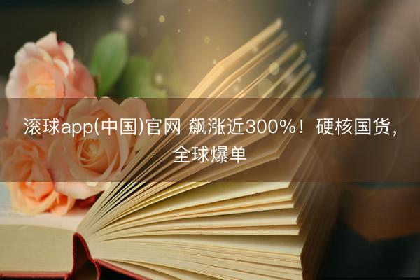 滚球app(中国)官网 飙涨近300%！硬核国货，全球爆单