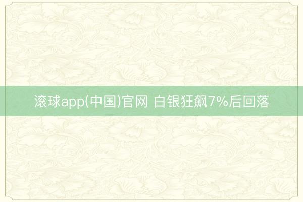 滚球app(中国)官网 白银狂飙7%后回落