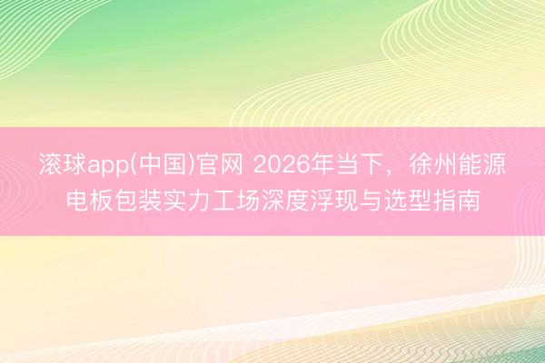 滚球app(中国)官网 2026年当下，徐州能源电板包装实力工场深度浮现与选型指南