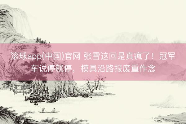 滚球app(中国)官网 张雪这回是真疯了!冠军车说停就停,模具沿路报废重作念