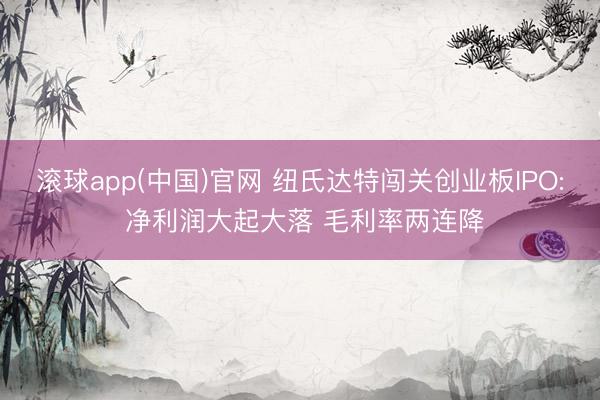 滚球app(中国)官网 纽氏达特闯关创业板IPO: 净利润大起大落 毛利率两连降