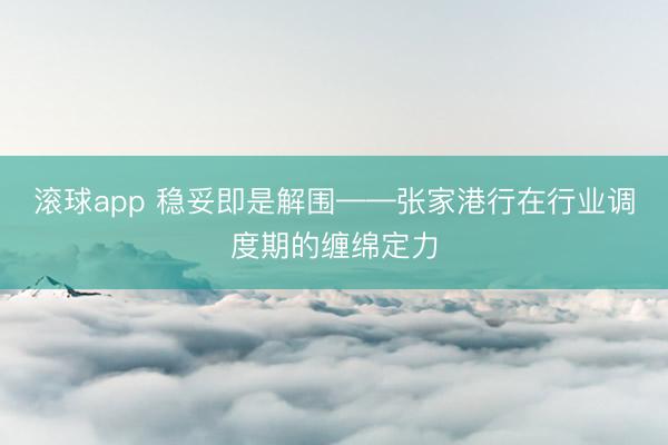 滚球app 稳妥即是解围——张家港行在行业调度期的缠绵定力