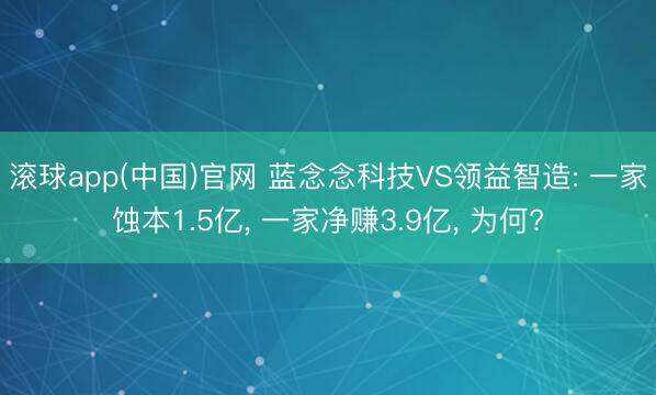 滚球app(中国)官网 蓝念念科技VS领益智造: 一家蚀本1.5