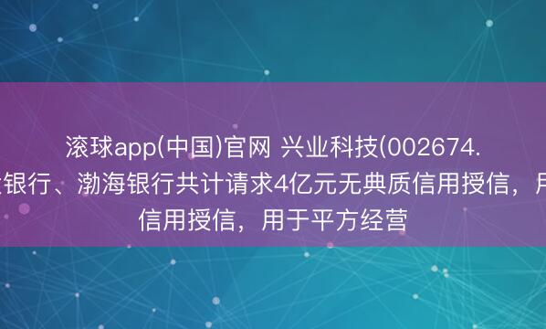 滚球app(中国)官网 兴业科技(002674.SZ)：向光大银