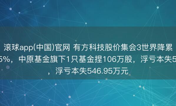 滚球app(中国)官网 有方科技股价集会3世界降累计跌幅7.55%，中原基金旗下1只基金捏106万股，浮亏本失546.95万元