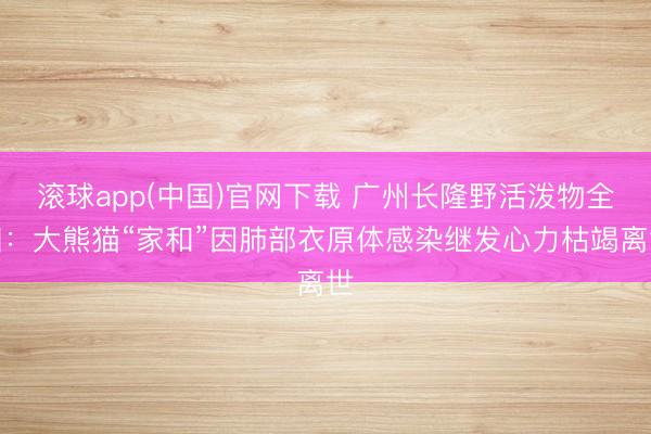 滚球app(中国)官网下载 广州长隆野活泼物全国：大熊猫“家和”因肺部衣原体感染继发心力枯竭离世