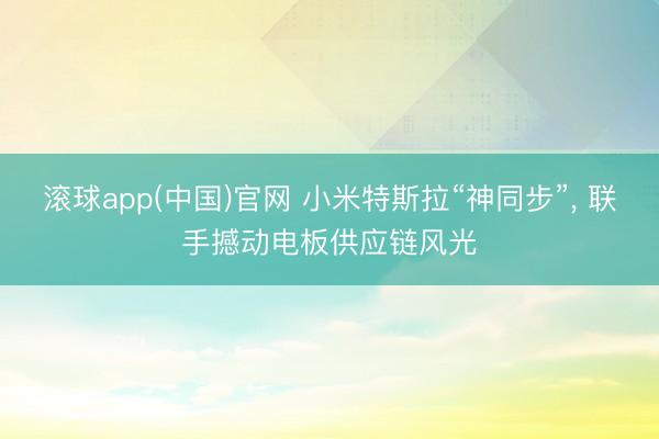 滚球app(中国)官网 小米特斯拉“神同步”， 联手撼动电板供应链风光