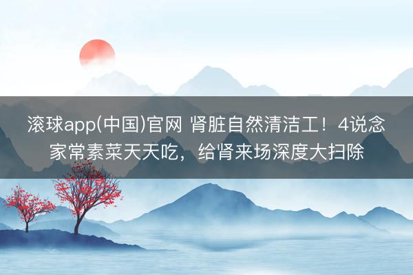 滚球app(中国)官网 肾脏自然清洁工！4说念家常素菜天天吃，给肾来场深度大扫除