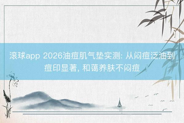滚球app 2026油痘肌气垫实测: 从闷痘泛油到痘印显著， 和蔼养肤不闷痘