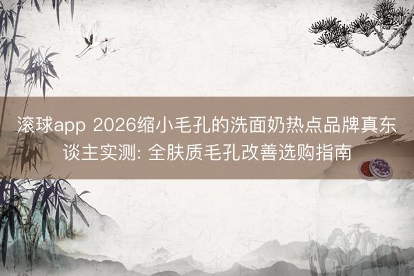 滚球app 2026缩小毛孔的洗面奶热点品牌真东谈主实测: 全肤质毛孔改善选购指南