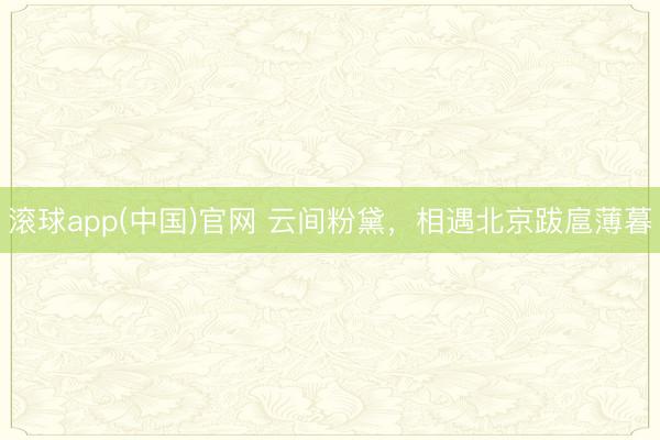 滚球app(中国)官网 云间粉黛,相遇北京跋扈薄暮