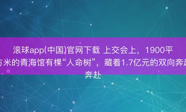滚球app(中国)官网下载 上交会上,1900平方米的青海馆有棵“人命树”,藏着1.7亿元的双向奔赴