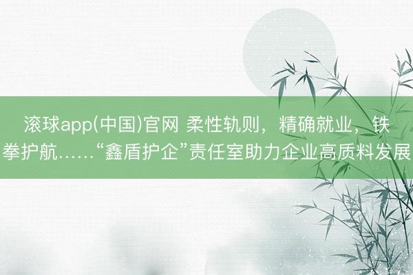 滚球app(中国)官网 柔性轨则，精确就业，铁拳护航……“鑫盾护企”责任室助力企业高质料发展