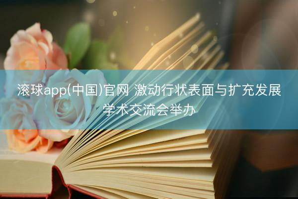 滚球app(中国)官网 激动行状表面与扩充发展学术交流会举办