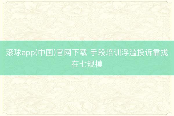 滚球app(中国)官网下载 手段培训浮滥投诉靠拢在七规模