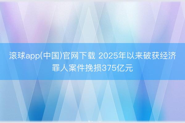滚球app(中国)官网下载 2025年以来破获经济罪人案件挽损375亿元
