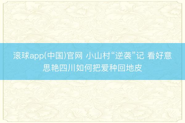 滚球app(中国)官网 小山村“逆袭”记 看好意思艳四川如何把爱种回地皮