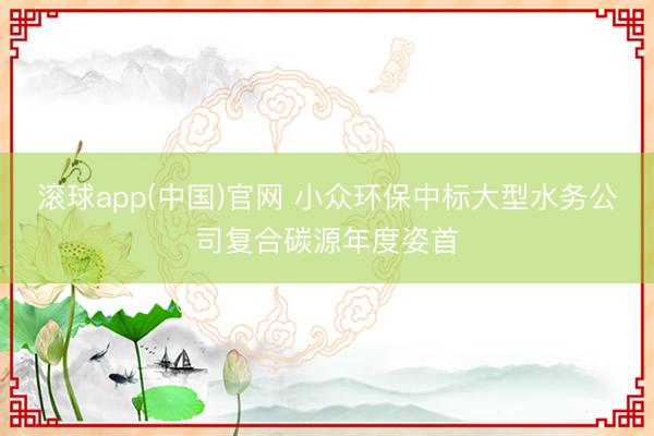 滚球app(中国)官网 小众环保中标大型水务公司复合碳源年度姿首