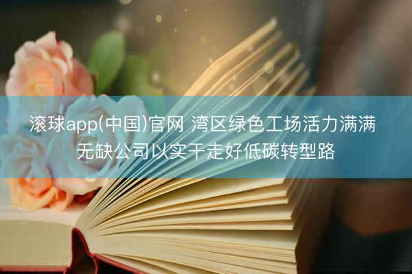 滚球app(中国)官网 湾区绿色工场活力满满 无缺公司以实干走好低碳转型路