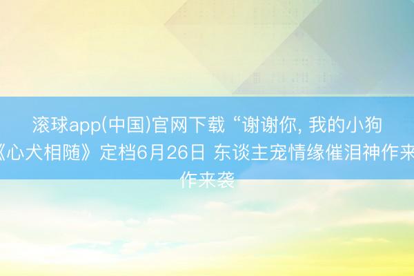 滚球app(中国)官网下载 “谢谢你， 我的小狗”《心犬相随》定档6月26日 东谈主宠情缘催泪神作来袭