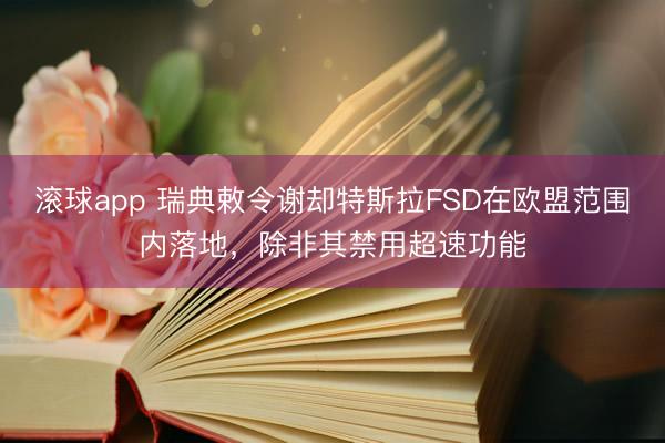滚球app 瑞典敕令谢却特斯拉FSD在欧盟范围内落地，除非其禁用超速功能